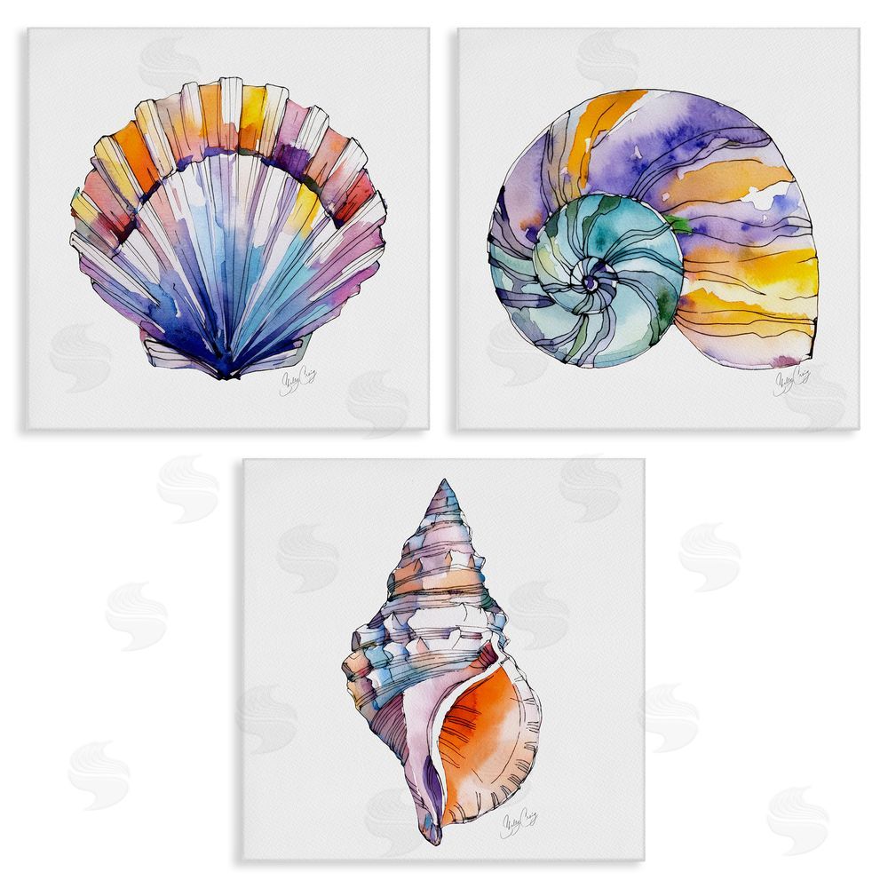 Shelly Craig Sunlit Seashells Watercolors Stretched Canvas Wall Art Print