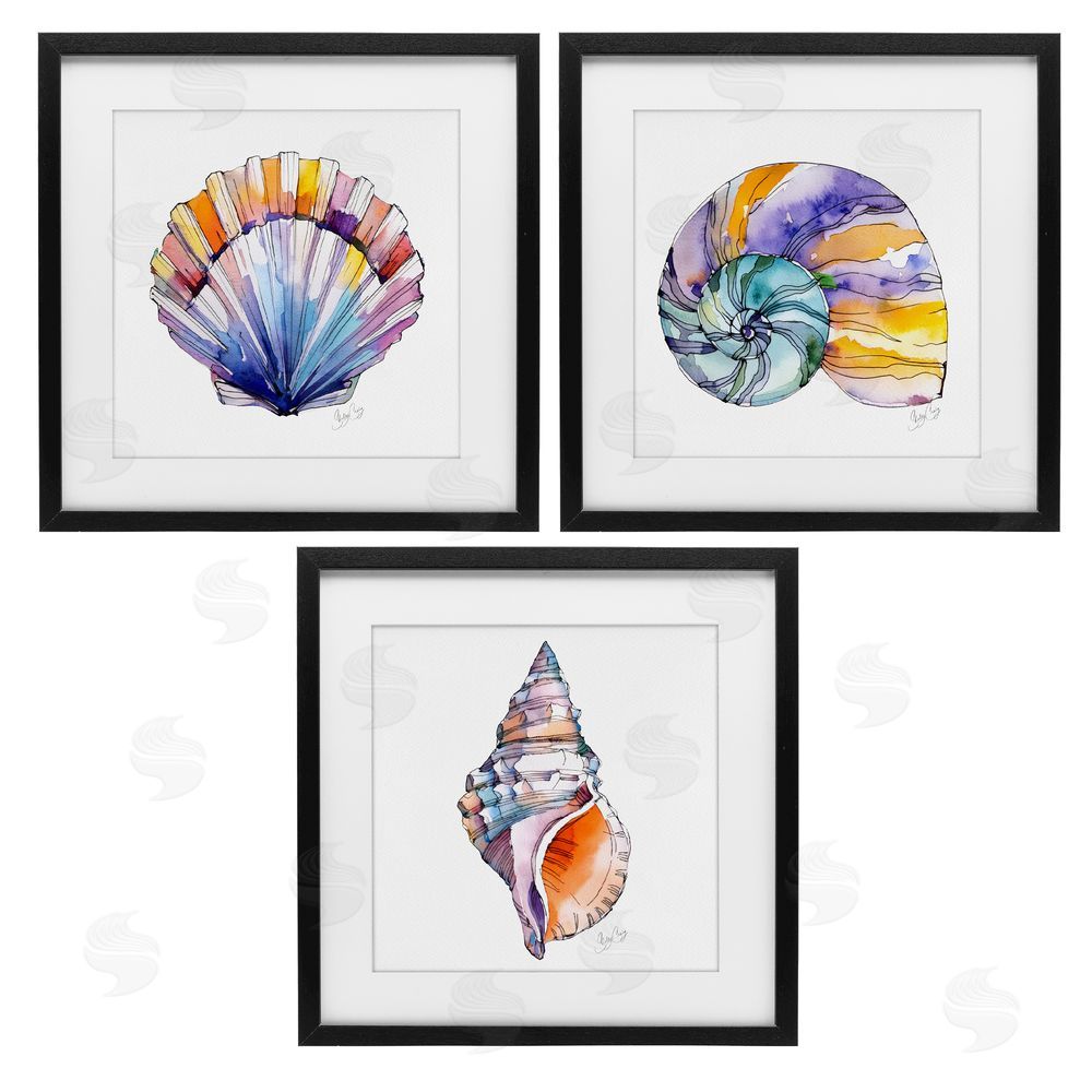 Shelly Craig Sunlit Seashells Watercolors Black Framed Print Under Glass Wall Art