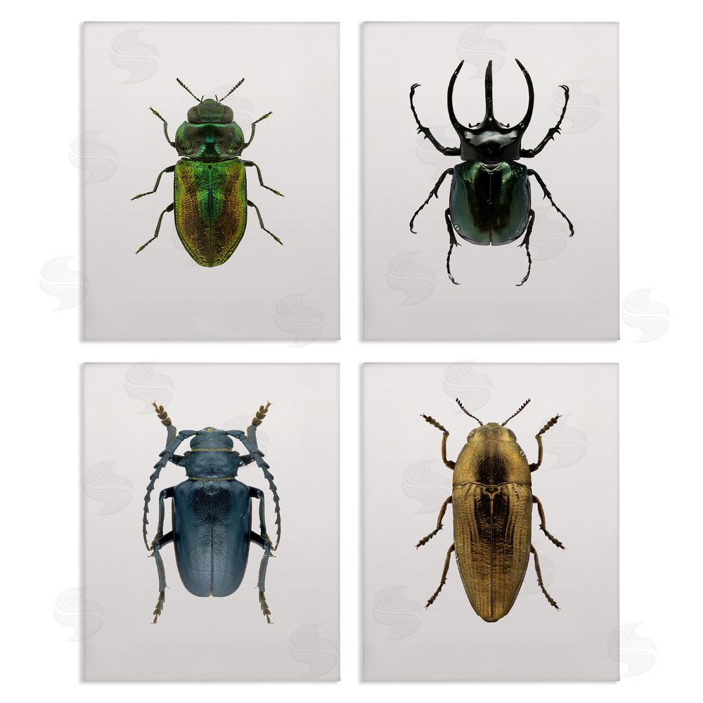 Design Fabrikken Colorful Insect Collection Photographs Canvas Wall Art Print