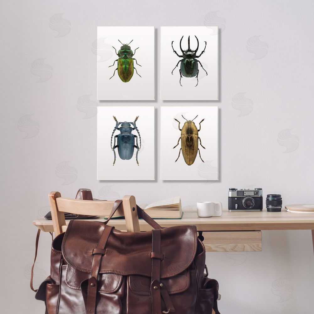 Design Fabrikken Colorful Insect Collection Photographs Canvas Wall Art Print in Room
