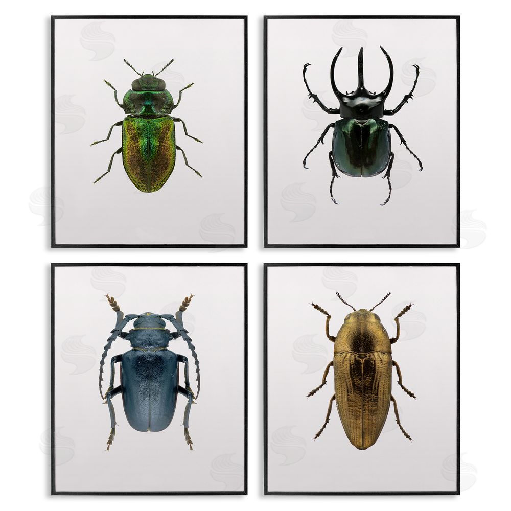 Design Fabrikken Colorful Insect Collection Photographs Black Framed Giclee Wall Art Print