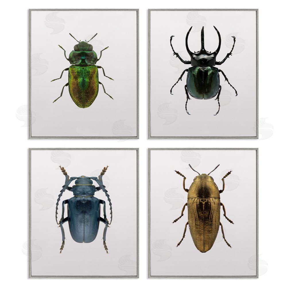 Design Fabrikken Colorful Insect Collection Photographs Gray Framed Giclee Wall Art Print