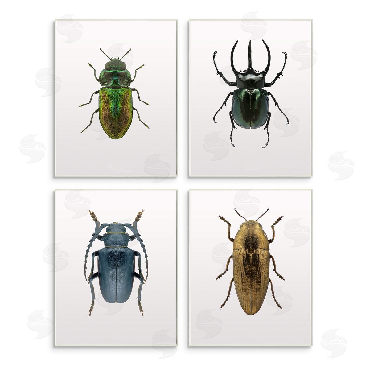 Design Fabrikken Colorful Insect Collection Photographs Wooden Wall Plaque Art Print