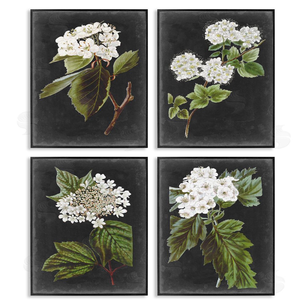 Vision Studio Charming Cottage Florals over Charcoal Grey Black Framed Giclee Wall Art Print