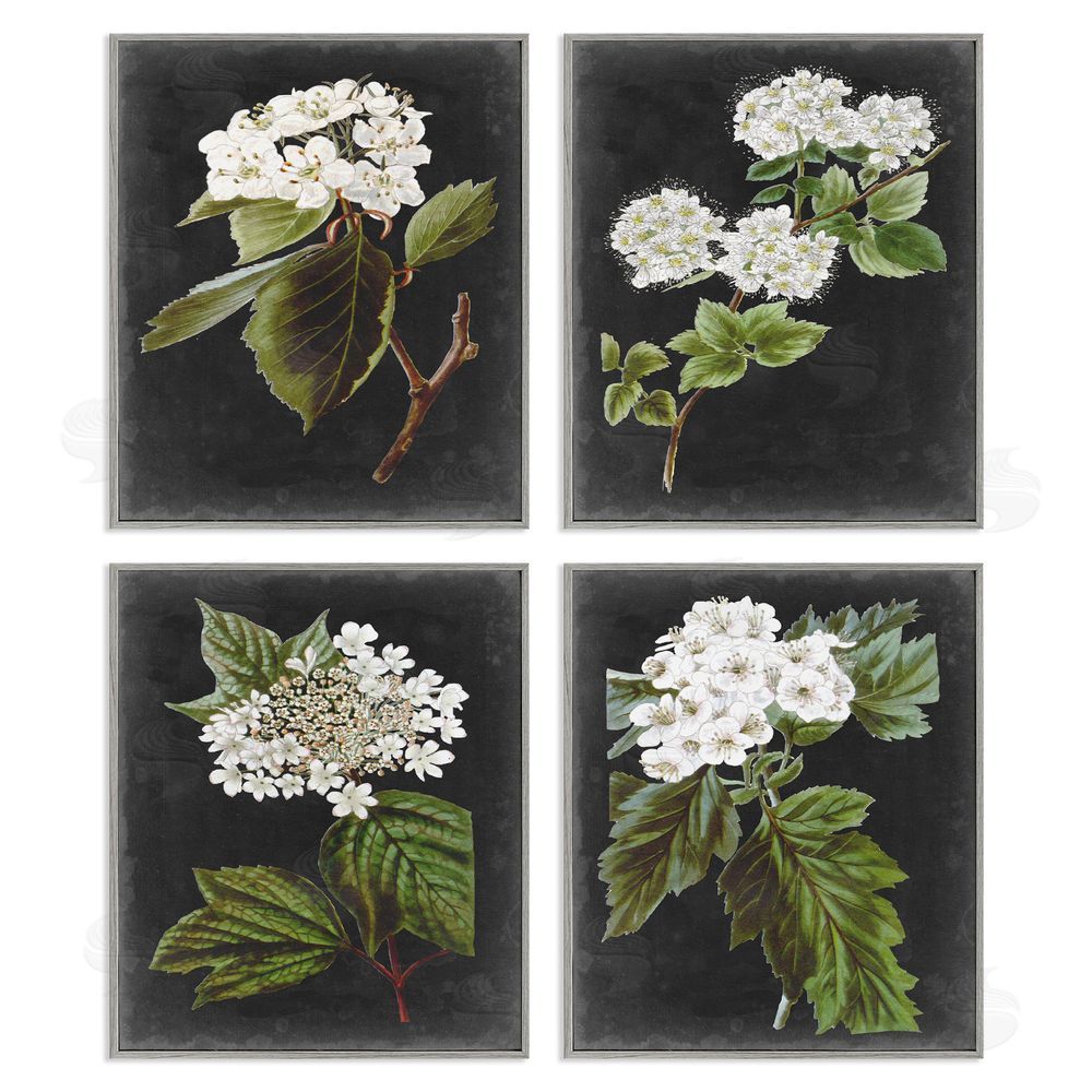 Vision Studio Charming Cottage Florals over Charcoal Grey Gray Framed Giclee Wall Art Print
