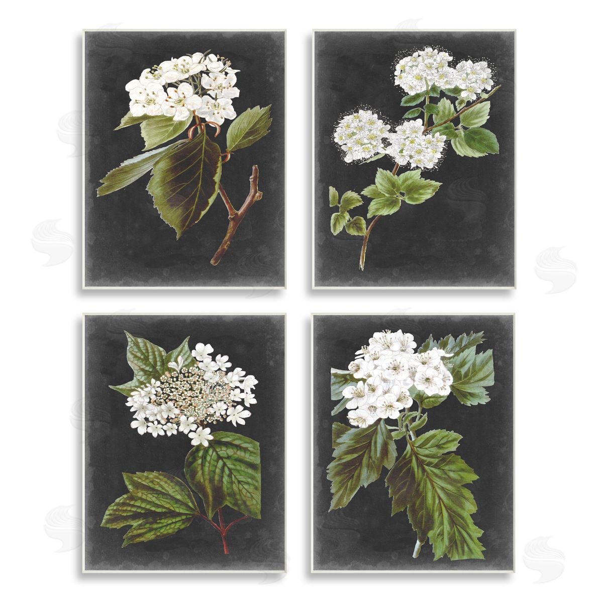 Vision Studio Charming Cottage Florals over Charcoal Grey Wooden Wall Plaque Art Print