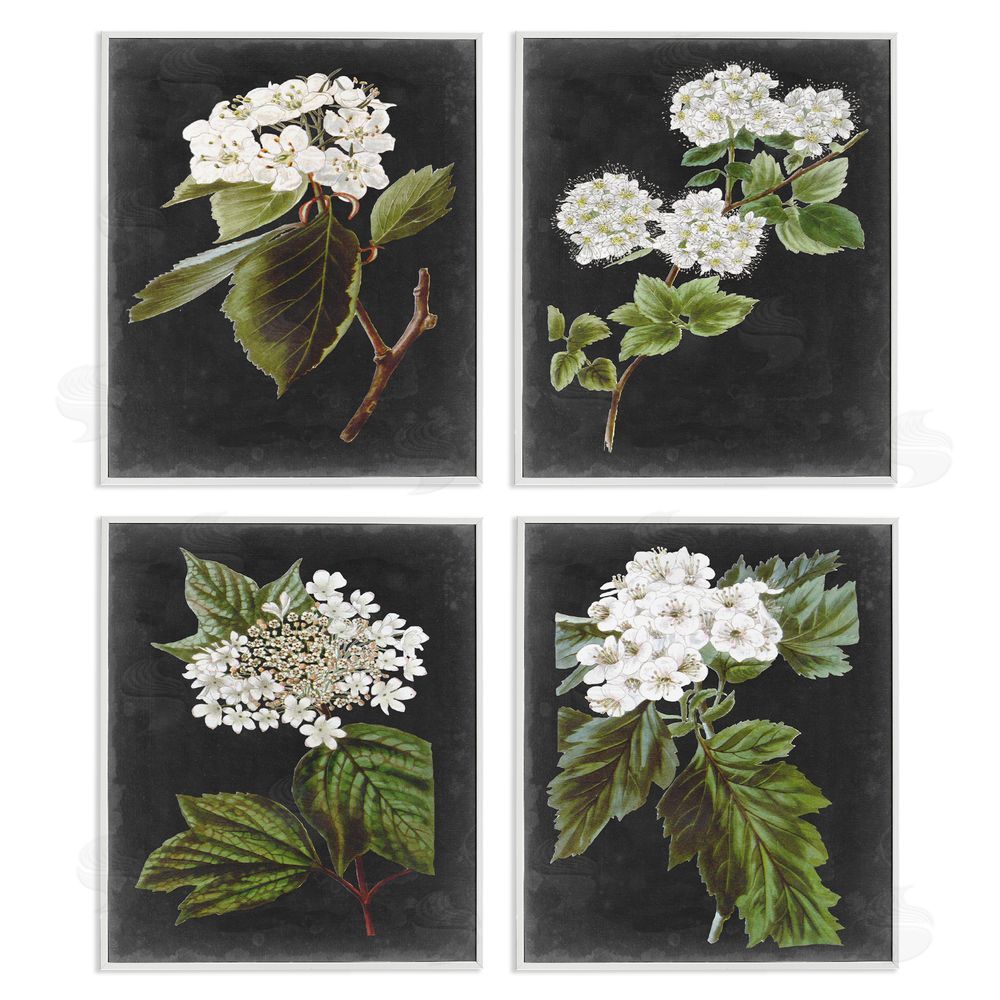 Vision Studio Charming Cottage Florals over Charcoal Grey White Framed Giclee Wall Art Print