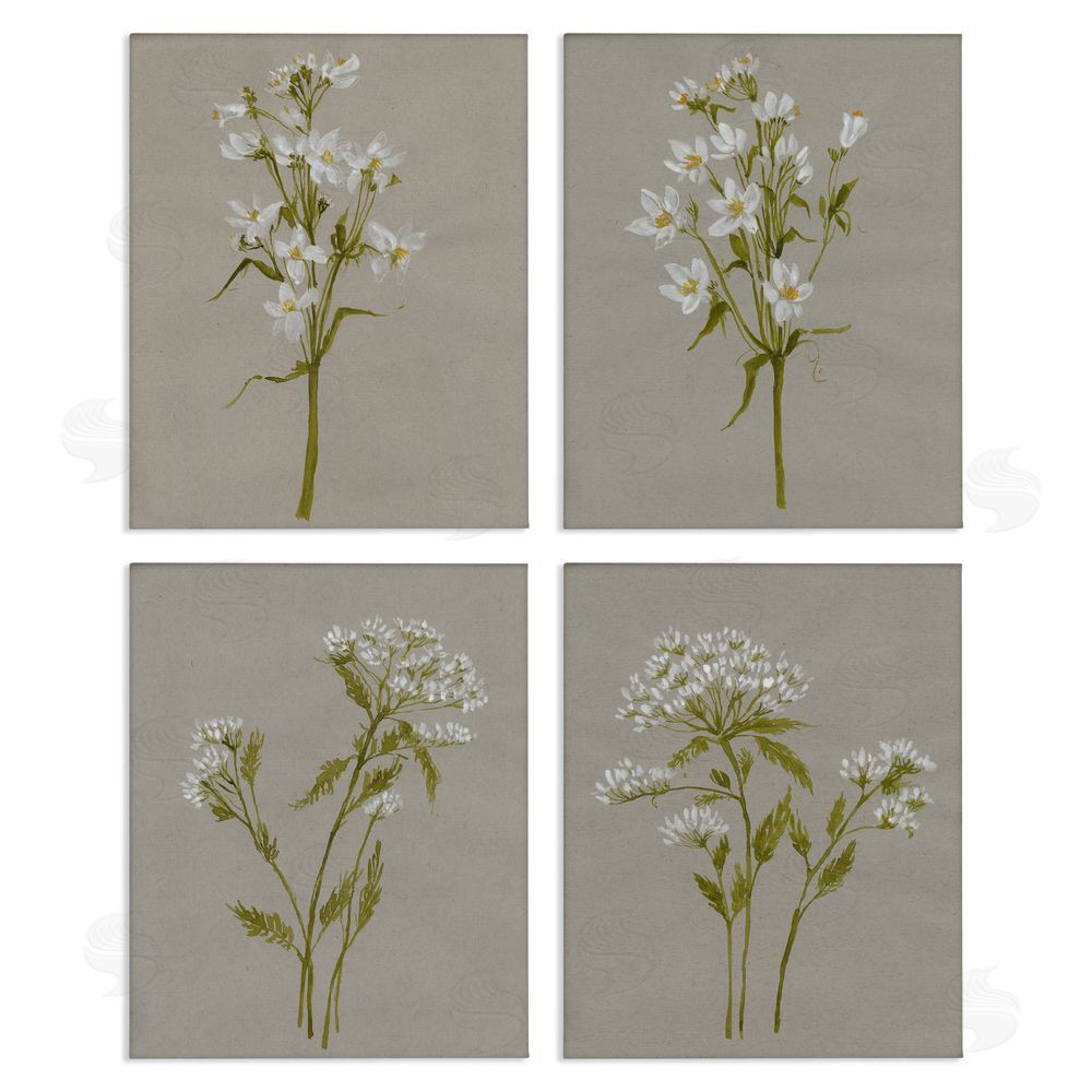Jennifer Goldberger Vintage White Wild Flower Study Soft Petals Canvas Wall Art Print