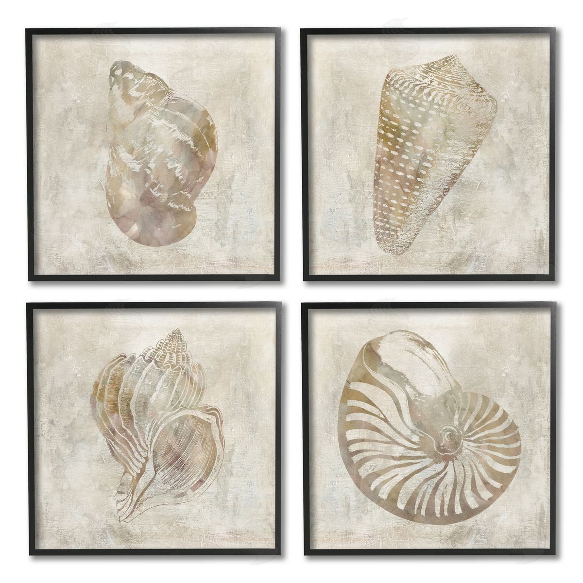 Carol Robinson Vintage Nautilus Seashells Patterned Aquatic Animals Black Framed Giclee Wall Art Print