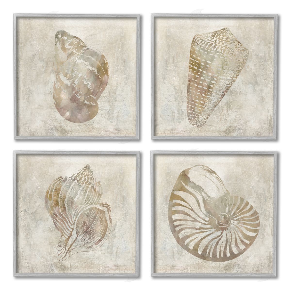 Carol Robinson Vintage Nautilus Seashells Patterned Aquatic Animals Gray Framed Giclee Wall Art Print