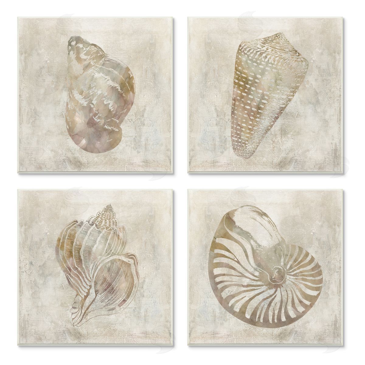 Carol Robinson Vintage Nautilus Seashells Patterned Aquatic Animals Wooden Wall Plaque Art Print