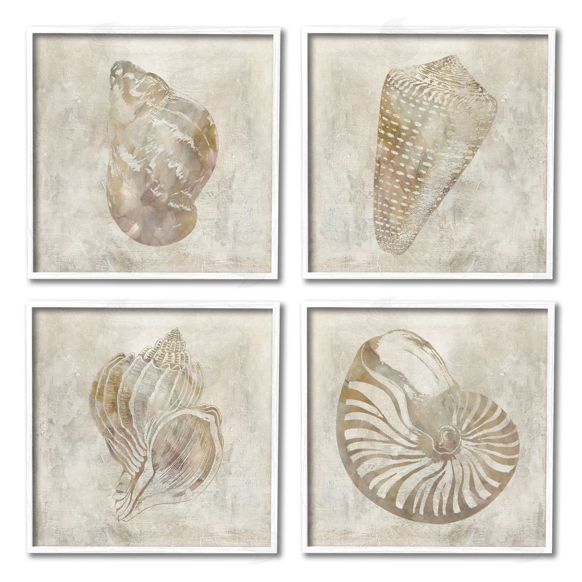 Carol Robinson Vintage Nautilus Seashells Patterned Aquatic Animals White Framed Giclee Wall Art Print
