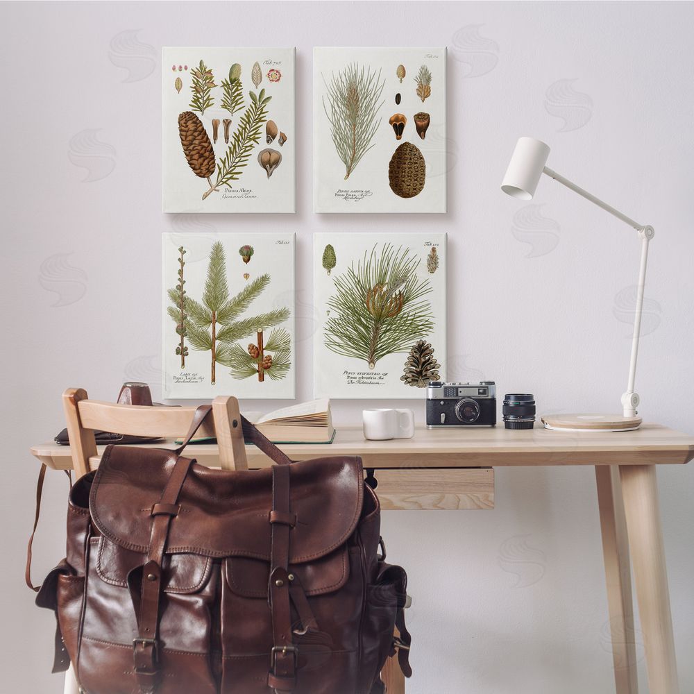 Kelly Donovan Vintage Forest Pine Illustrated Study Canvas Wall Art Print in Room