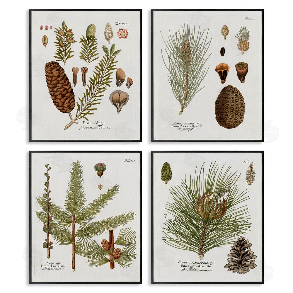 Kelly Donovan Vintage Forest Pine Illustrated Study Black Framed Giclee Wall Art Print