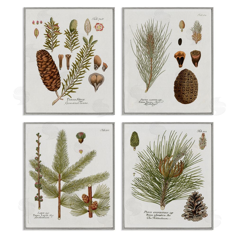 Kelly Donovan Vintage Forest Pine Illustrated Study Gray Framed Giclee Wall Art Print