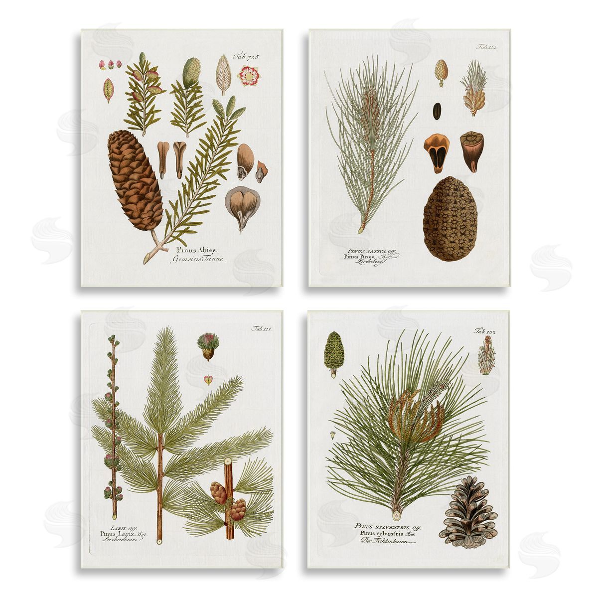 Kelly Donovan Vintage Forest Pine Illustrated Study Wooden Wall Plaque Art Print