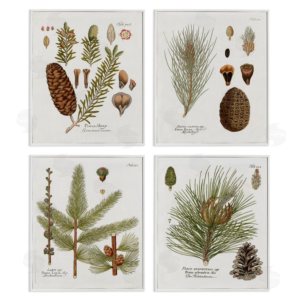 Kelly Donovan Vintage Forest Pine Illustrated Study White Framed Giclee Wall Art Print