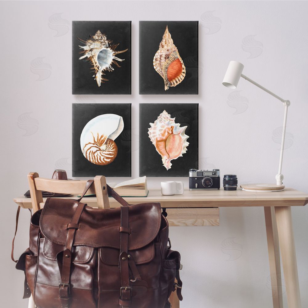 Michael Willett Sea Shell Clam Conch Collection Canvas Wall Art Print in Room
