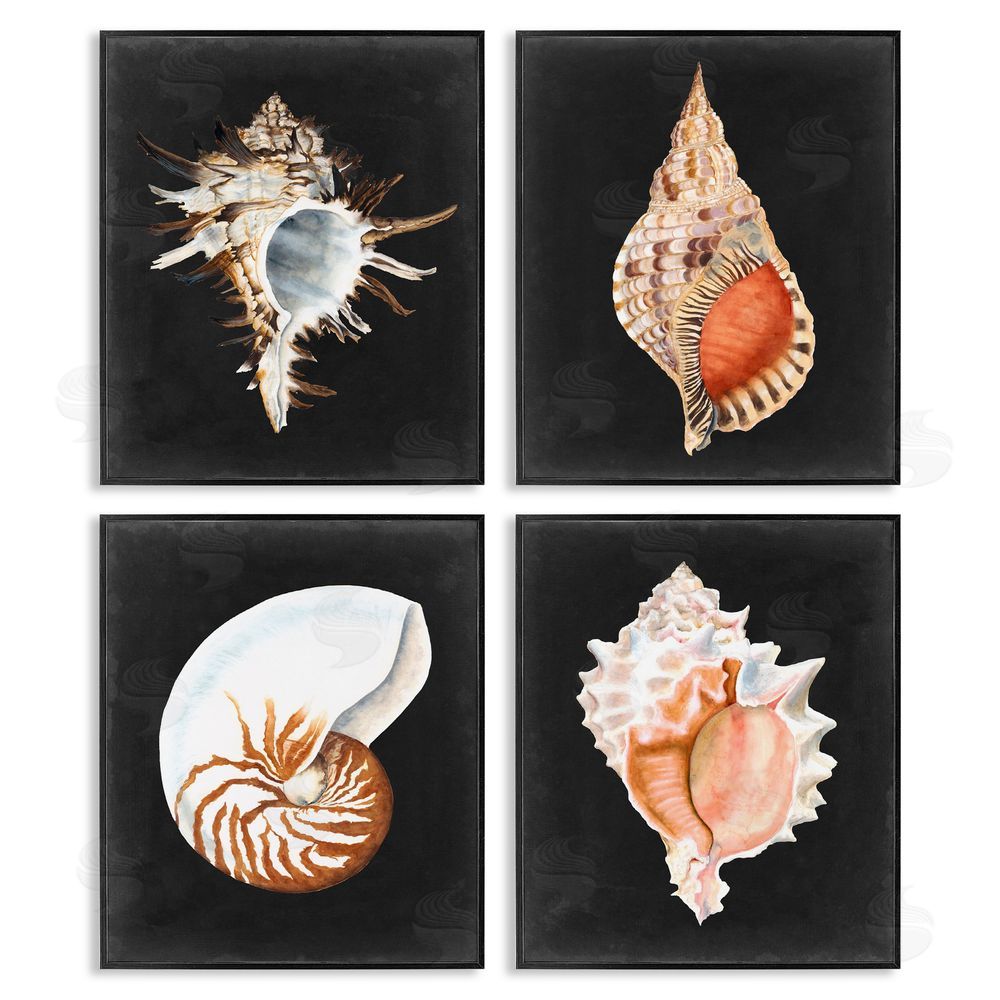 Michael Willett Sea Shell Clam Conch Collection Black Framed Giclee Wall Art Print