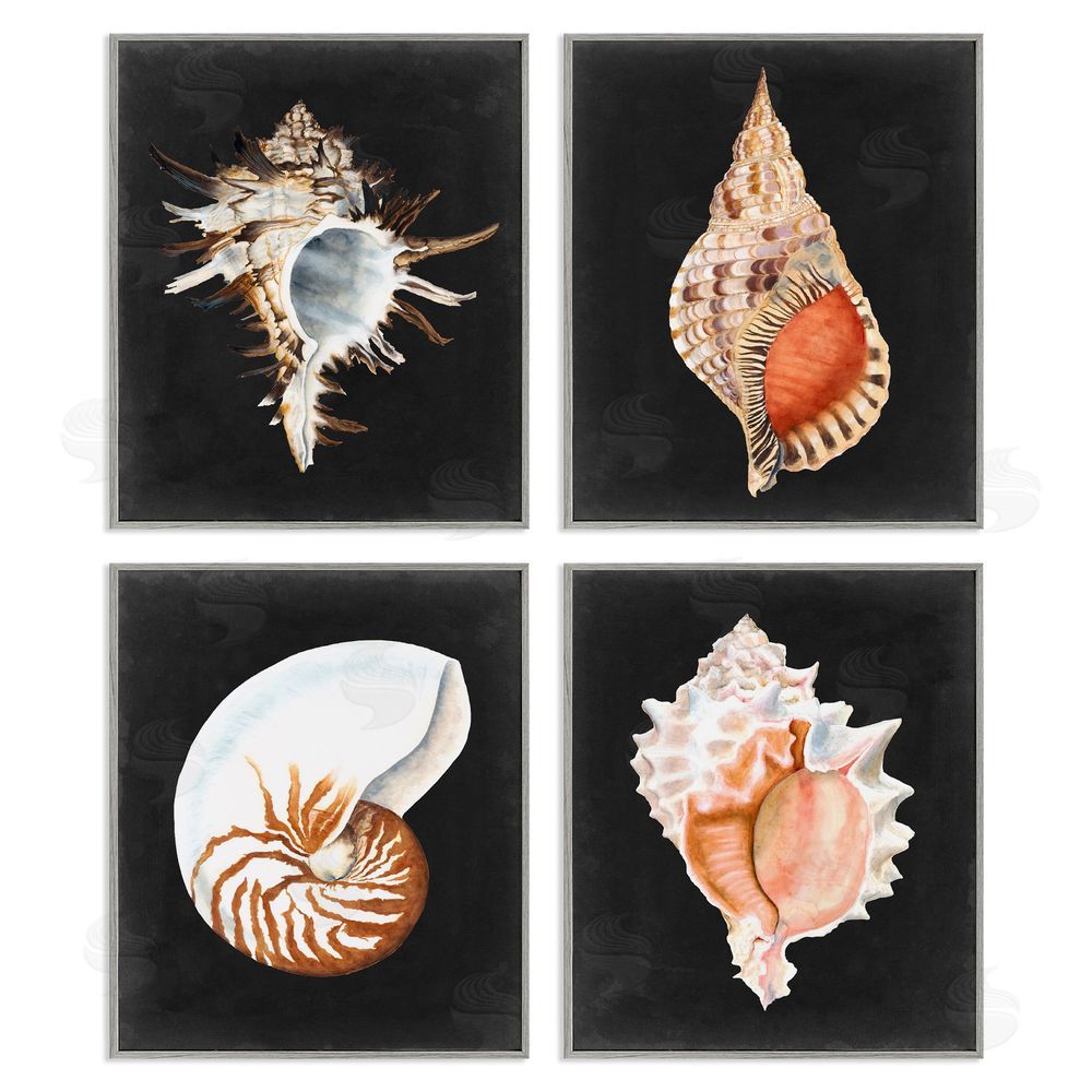 Michael Willett Sea Shell Clam Conch Collection Gray Framed Giclee Wall Art Print
