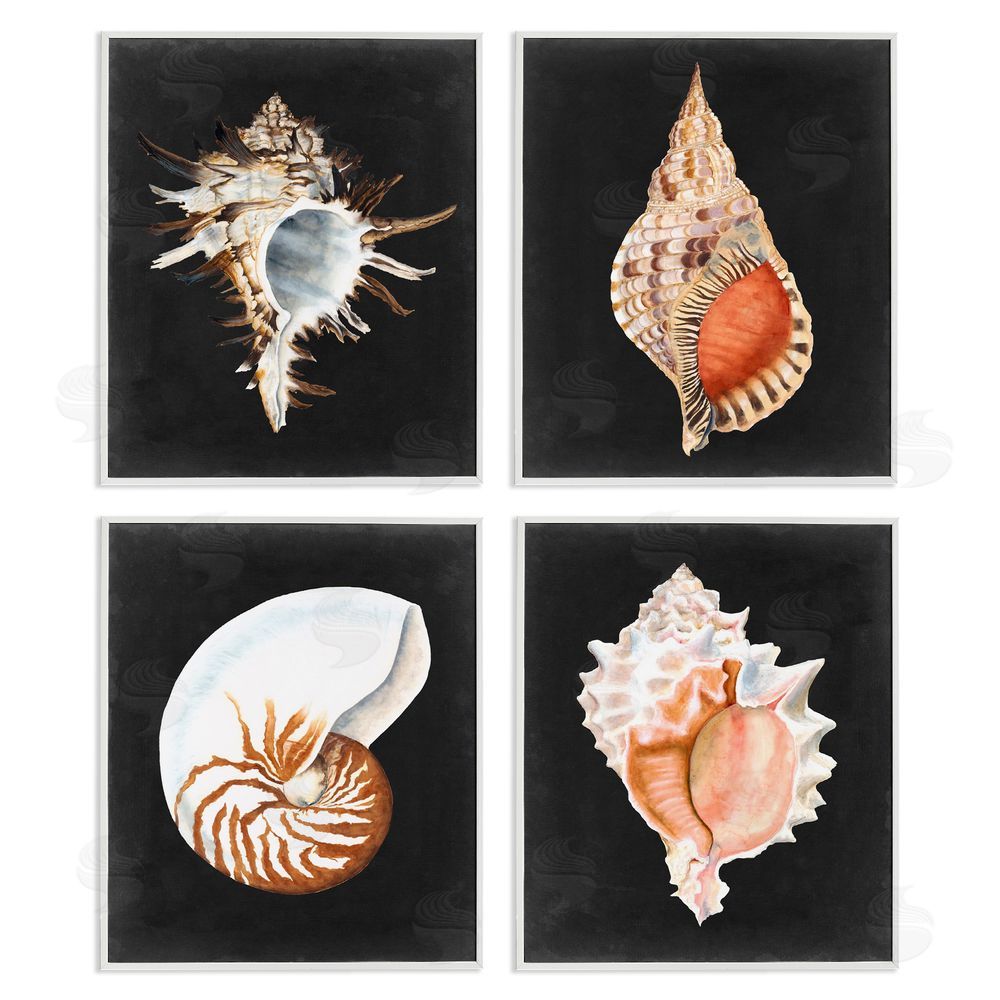 Michael Willett Sea Shell Clam Conch Collection White Framed Giclee Wall Art Print