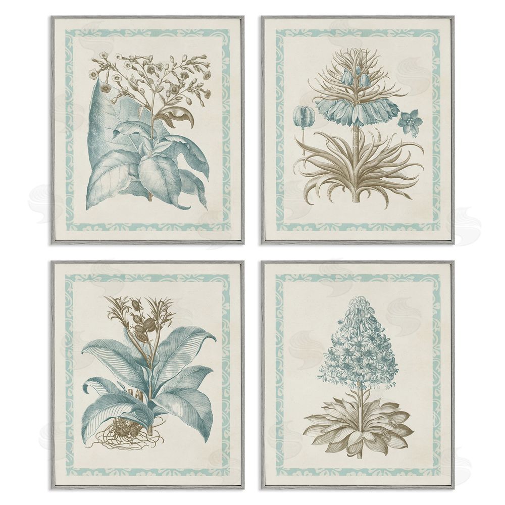 Vision Studio Botanical Herb Latin Studies Gray Framed Giclee Wall Art Print