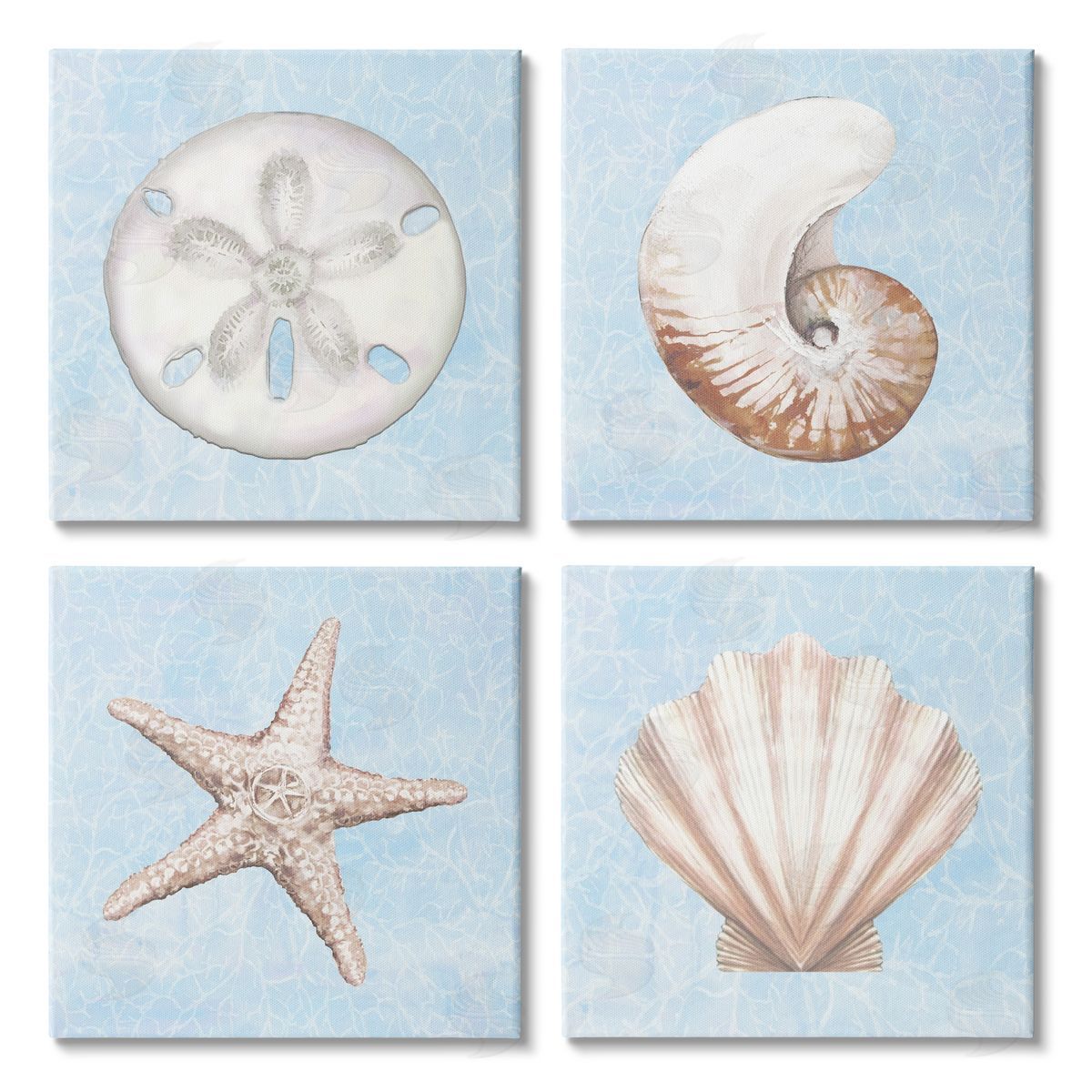Diannart Water Patterned Sea Life Shells Canvas Wall Art Print