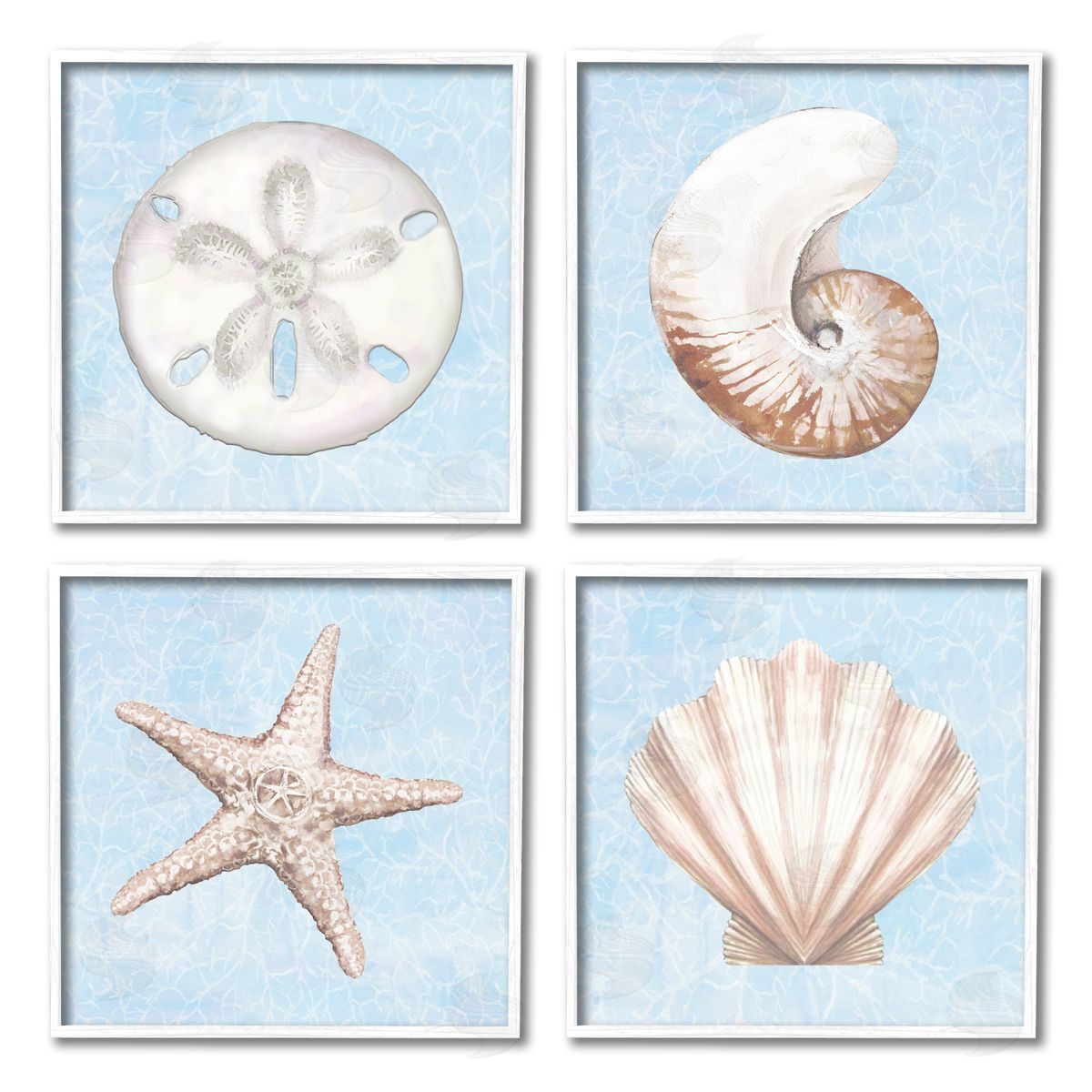 Diannart Water Patterned Sea Life Shells White Framed Giclee Wall Art Print