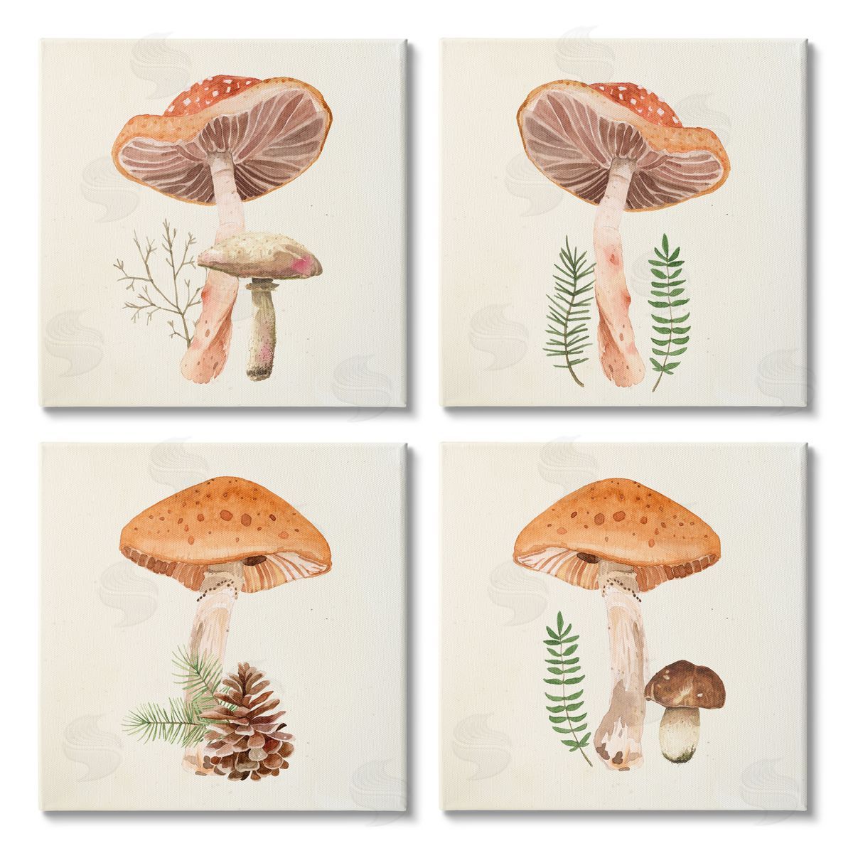 Lucca Sheppard Woodland Mushroom Botanical Sprouts Canvas Wall Art Print