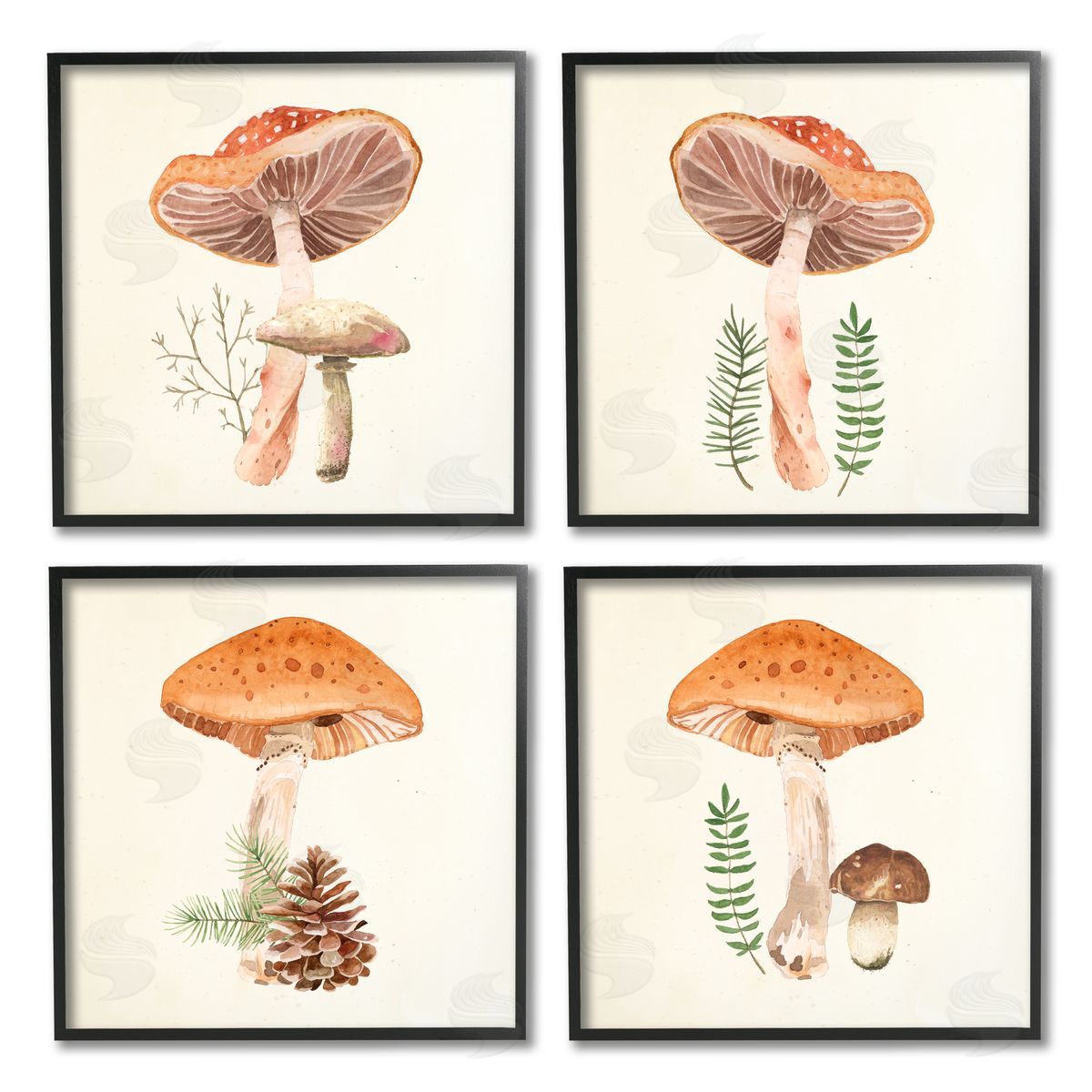 Lucca Sheppard Woodland Mushroom Botanical Sprouts Black Framed Giclee Wall Art Print