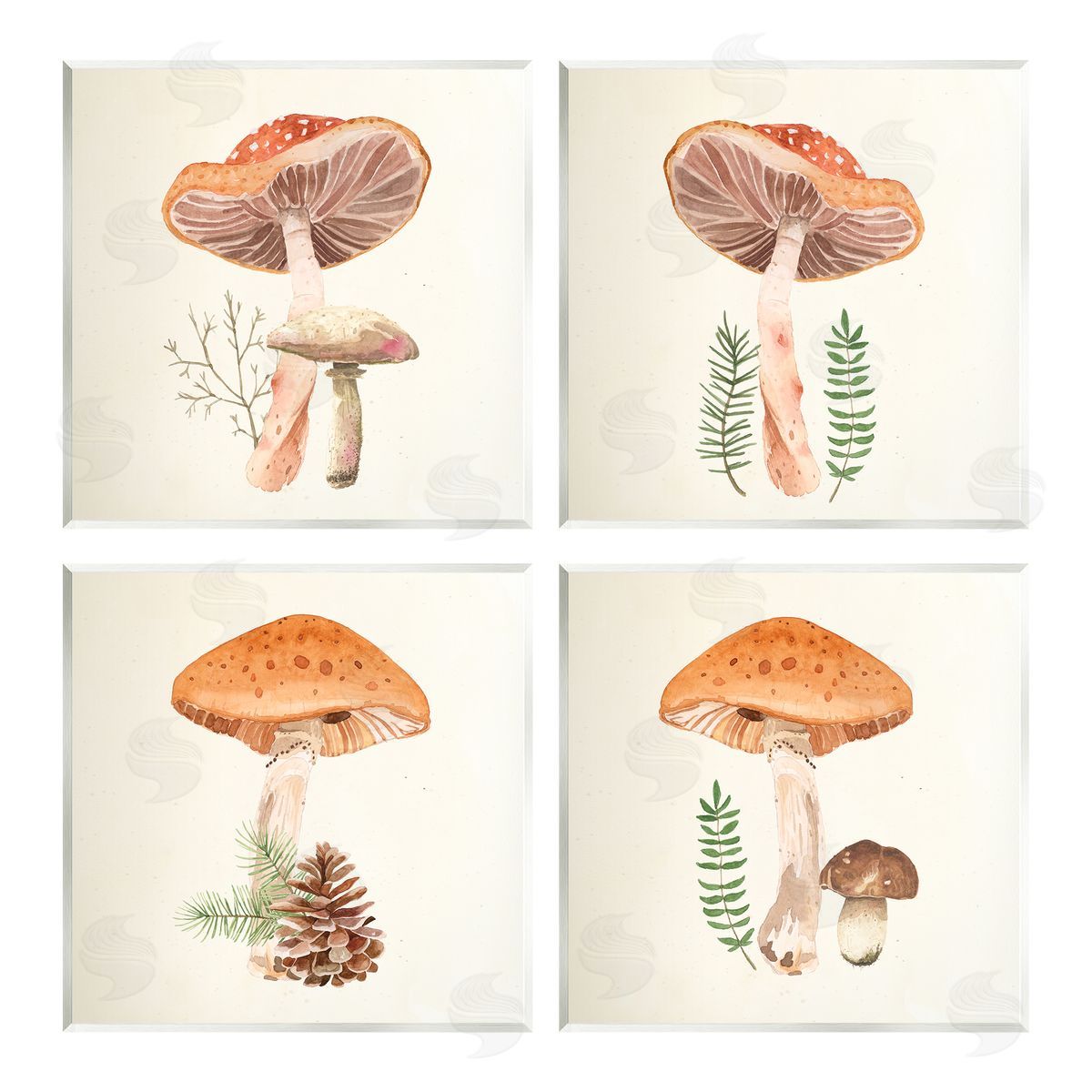 Lucca Sheppard Woodland Mushroom Botanical Sprouts Wooden Wall Plaque Art Print