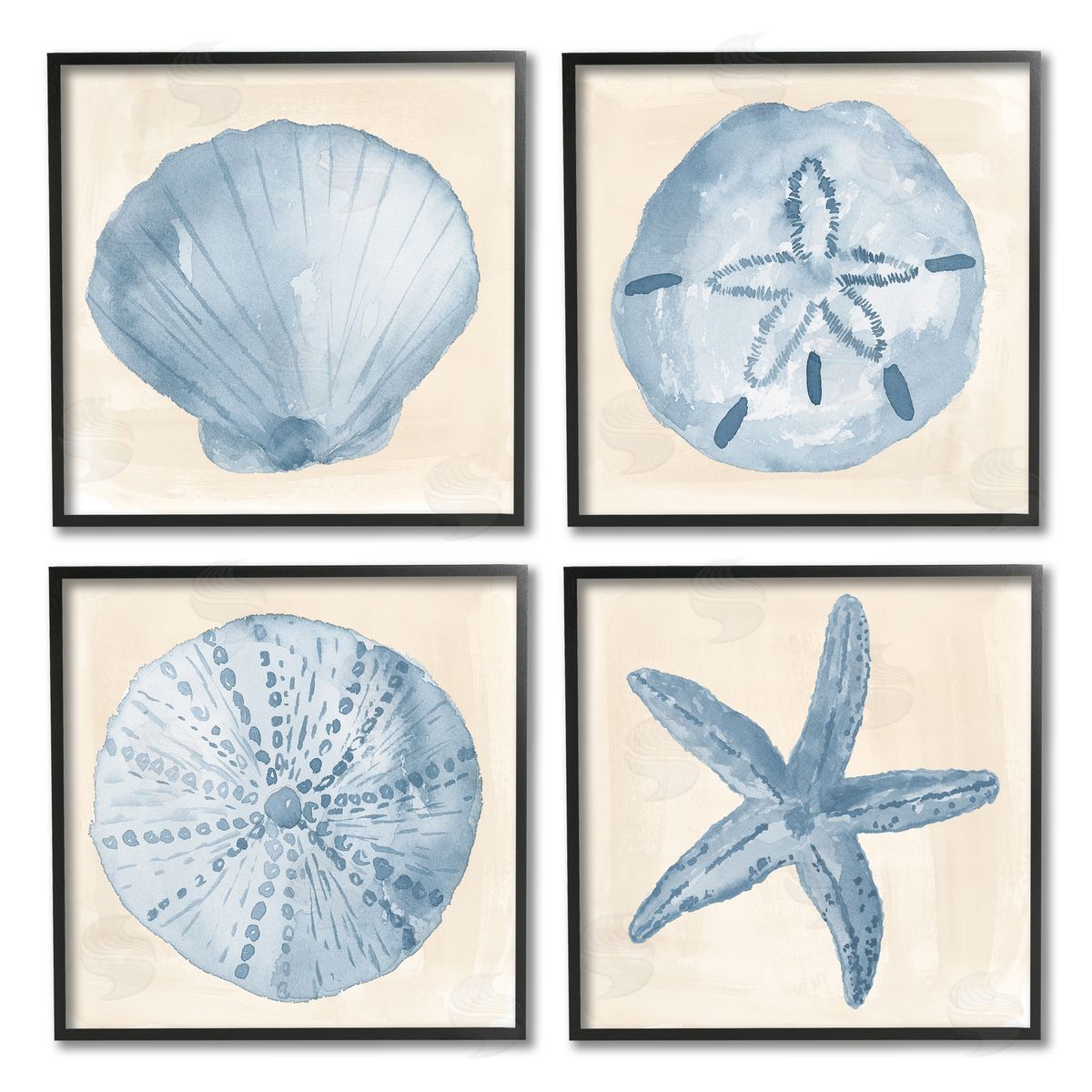 Lucille Price Blue Varied Seashell Marine Life Black Framed Giclee Wall Art Print