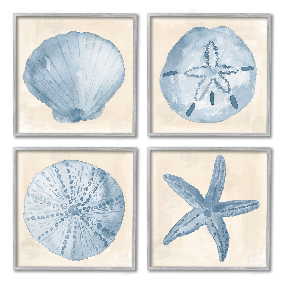 Lucille Price Blue Varied Seashell Marine Life Gray Framed Giclee Wall Art Print