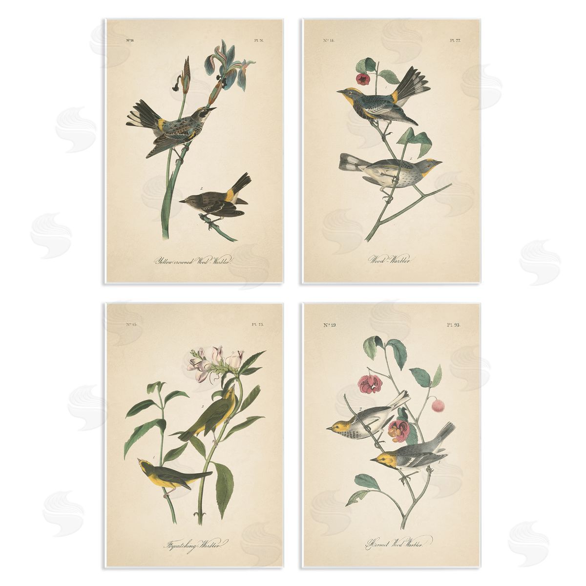 Vintage Study Birds & Plants Wood Plaque Wall Art, Home Decor by Wild Apple Portfolio