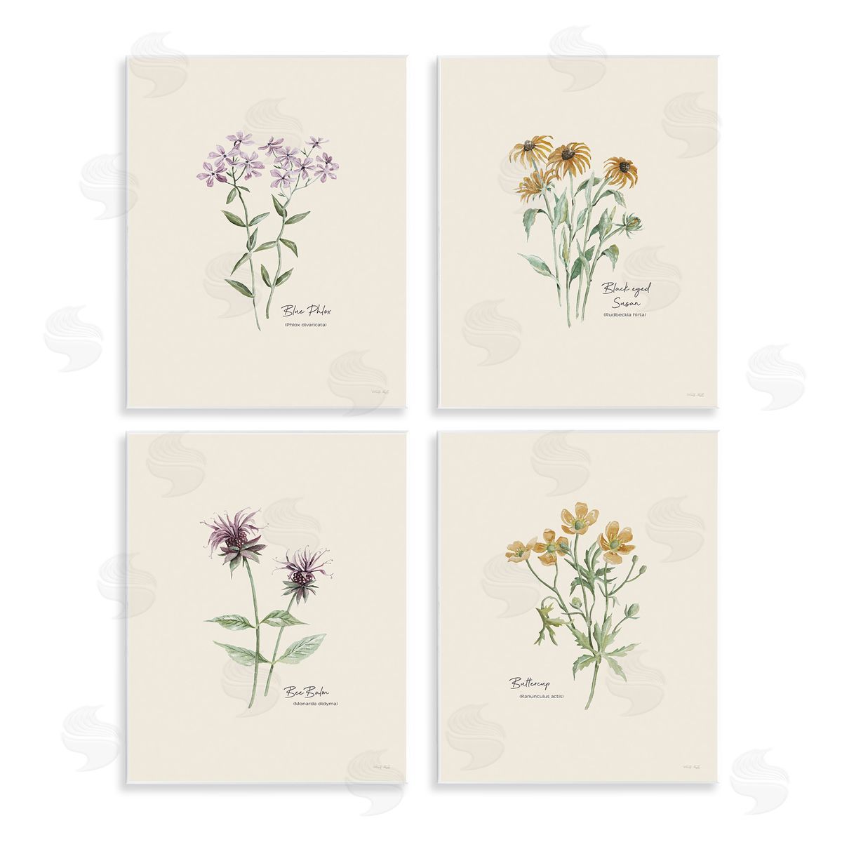 Simple Wildflower Studies Wood Plaque Wall Art, Home Decor by Cindy Jacobs