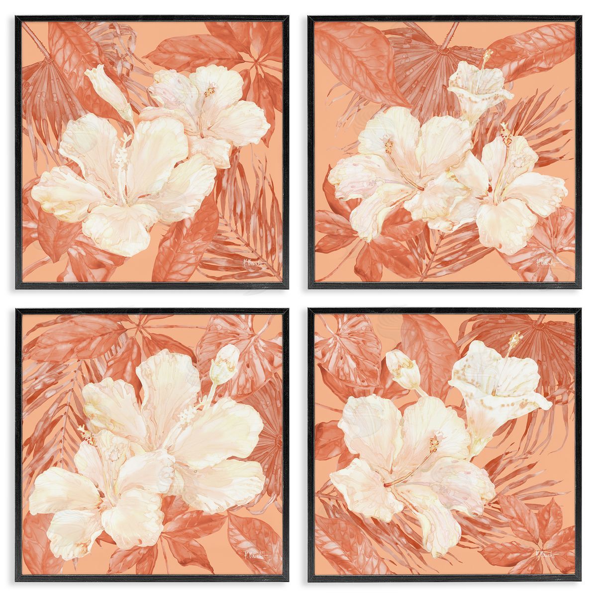 Peach Hibiscus Flowers Black Frame Print Wall Art, Home Decor by Paul Brent