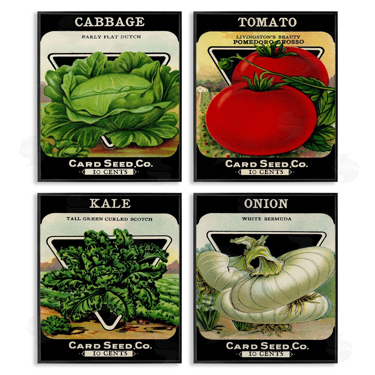 Vintage Garden Cabbage Black Frame Print Wall Art, Home Decor by Stupell Studio