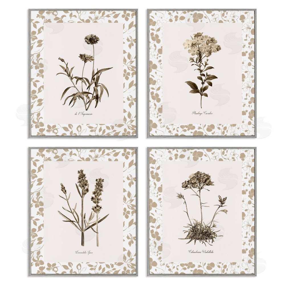 Kelly Donovan Neutral Imperial Flower Studies Gray Framed Giclee Wall Art Print