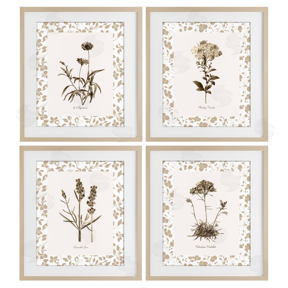 Kelly Donovan Neutral Imperial Flower Studies Birch Framed Print Under Glass Wall Art