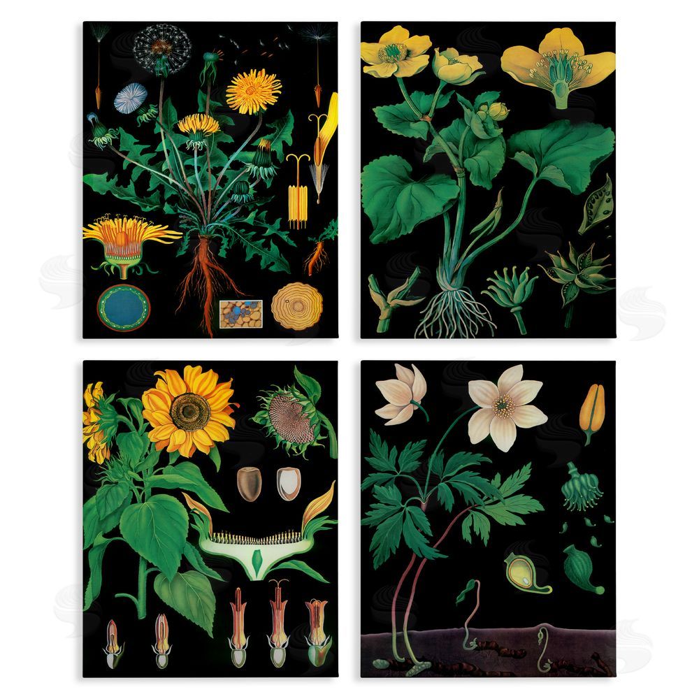 Vintage Hustle Botanical Illustrations on Black Stretched Canvas Wall Art Print