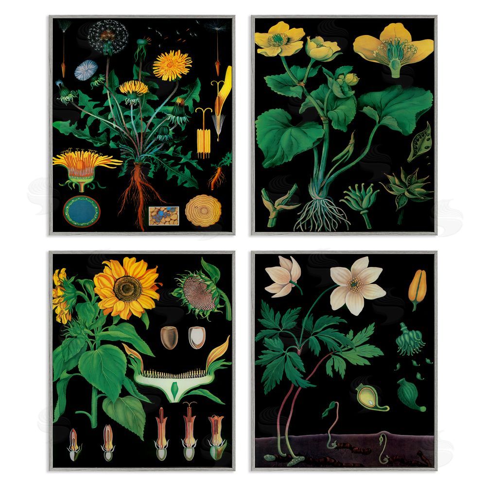 Vintage Hustle Botanical Illustrations on Black Gray Framed Giclee Wall Art Print