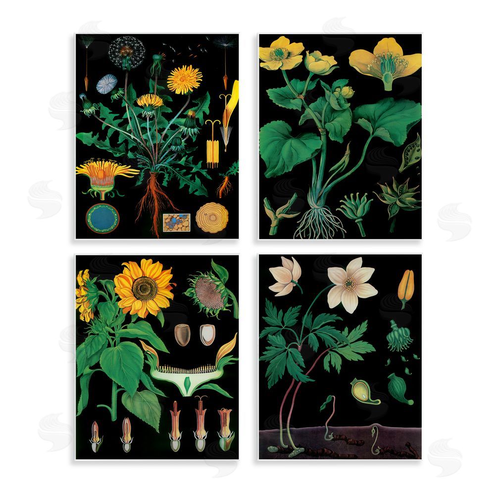 Vintage Hustle Botanical Illustrations on Black Wall Plaque Art Print