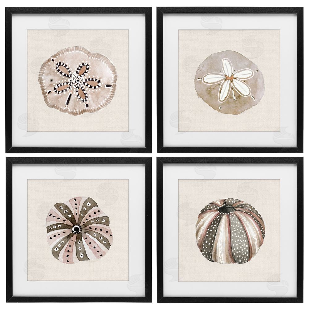 Sundance Graphics Taupe & Beige Sea Creatures Black Framed Print Under Glass Wall Art