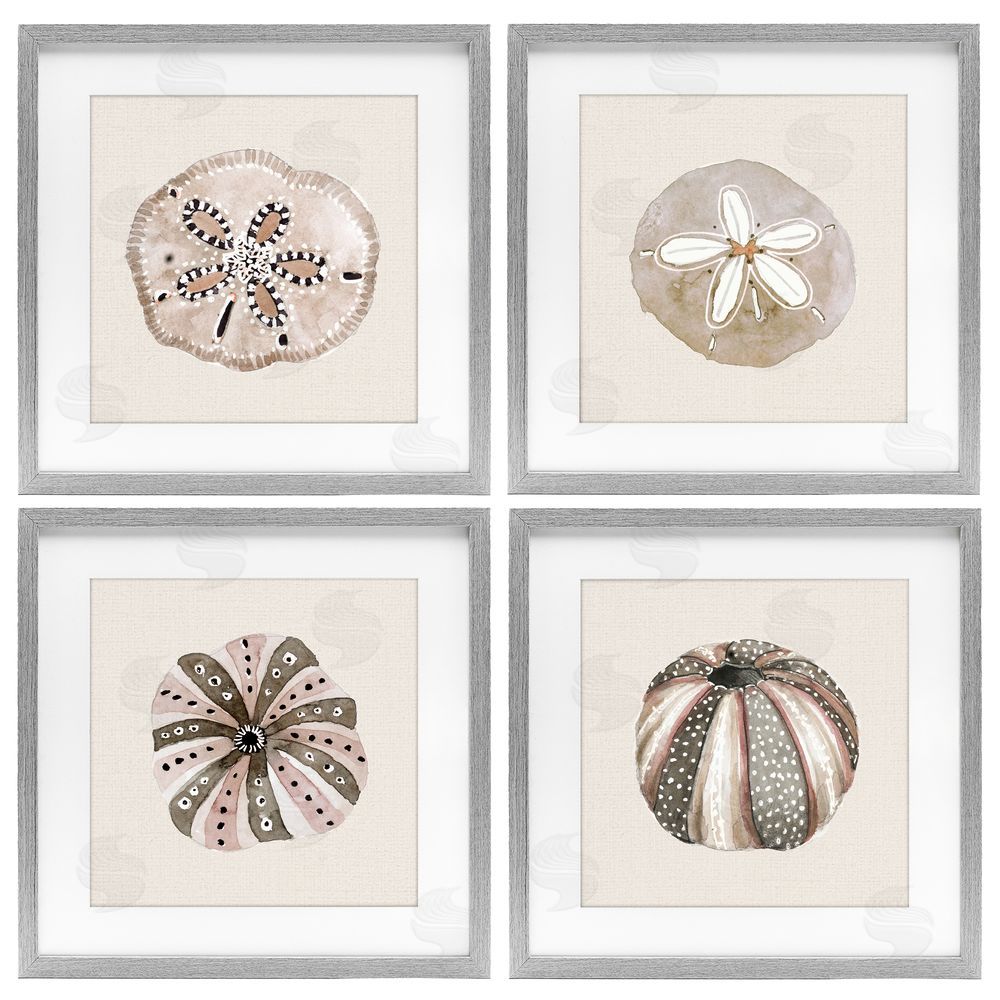 Sundance Graphics Taupe & Beige Sea Creatures Gray Framed Print Under Glass Wall Art