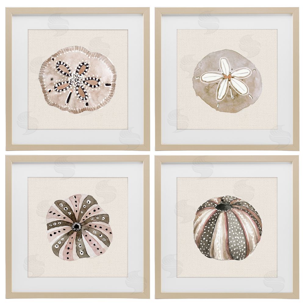 Sundance Graphics Taupe & Beige Sea Creatures Birch Framed Print Under Glass Wall Art