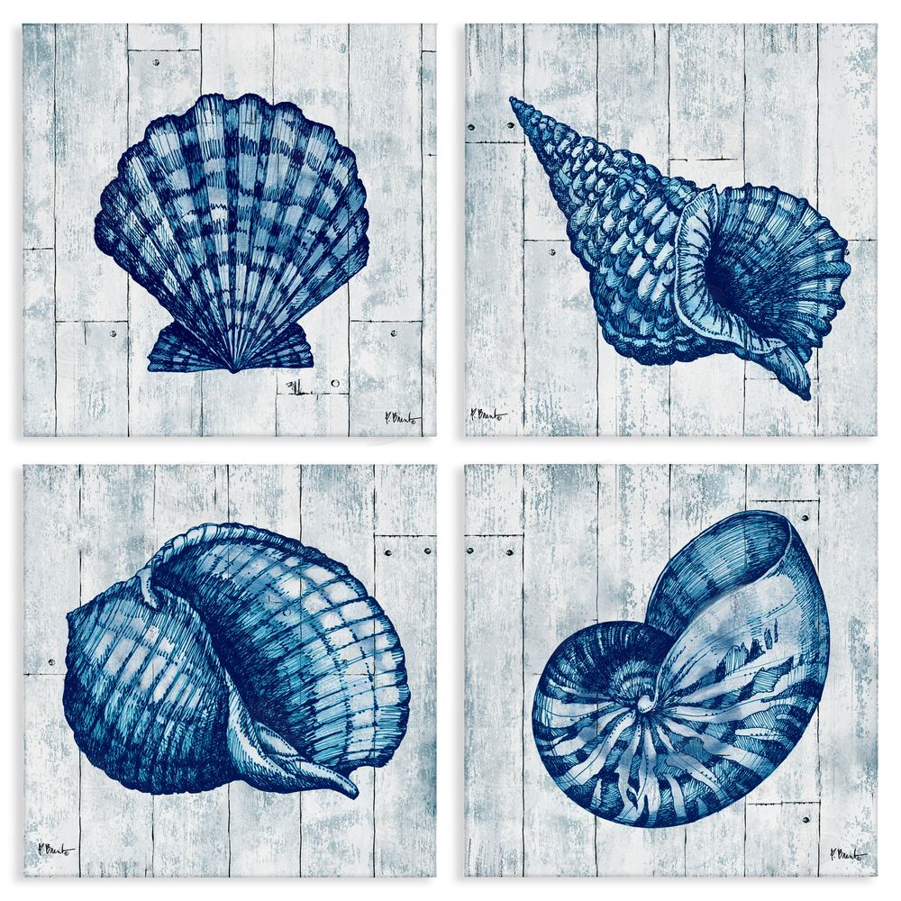 Paul Brent Coastal Timberland Seashells Stretched Canvas Wall Art