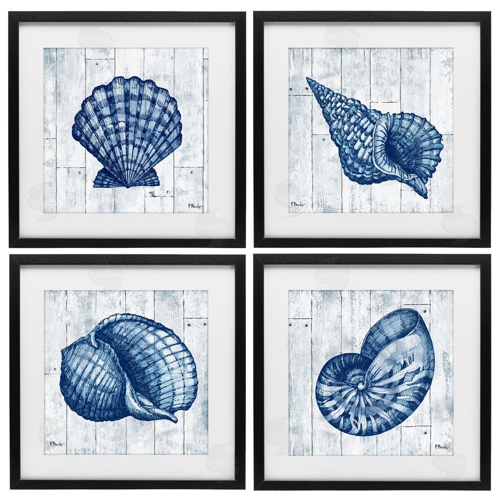 Paul Brent Coastal Timberland Seashells Black Framed Print Under Glass Wall Art