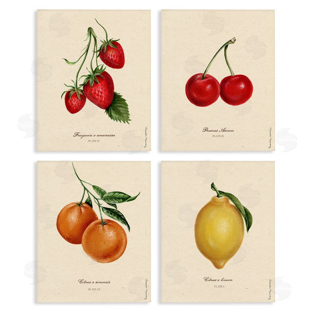 Courtney Davis Inc Vintage Fruit Portraits Canvas Wall Art Print