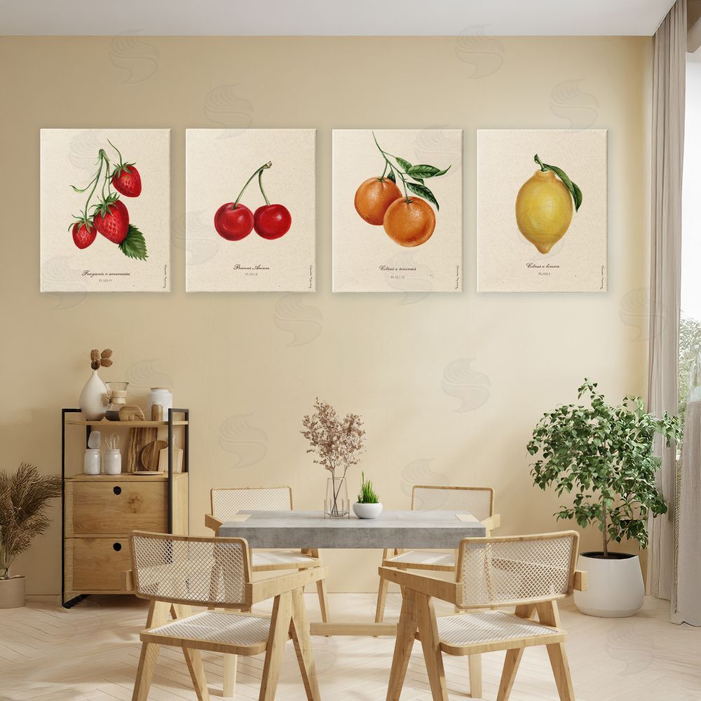 Courtney Davis Inc Vintage Fruit Portraits Canvas Wall Art Print in Room