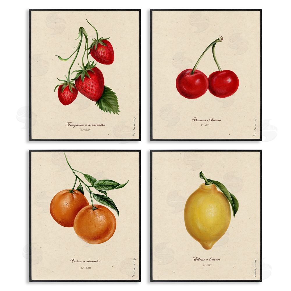 Courtney Davis Inc Vintage Fruit Portraits Black Framed Giclee Wall Art Print